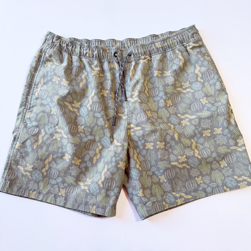 Toad&Co Boundless Pull-On Shorts - Men's Cactus Print Shorts XL